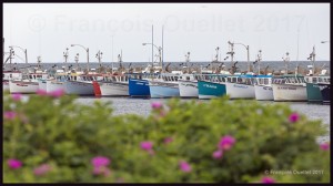 Bateaux-de-pêche-des-Îles-de-la-Madeleine-2017-web          