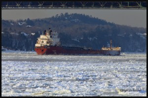 CSL-Salarium-sur-le-St-Laurent-en-hiver-web (1)        