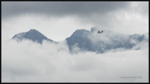 Harbour-Air-Beaver-on-floats-in-flight-in-Canada-2016-web (1)          