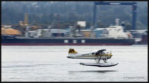 Harbour-Air-C-FJOS-2016-web (1)      