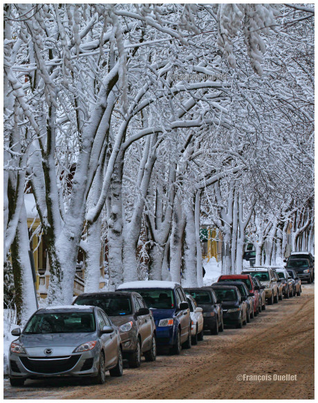 Hiver-Quebec-watermark-e1409448347498       