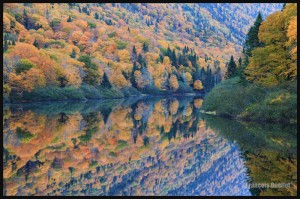 IMG_1469-Parc-national-de-la-Jacques-Cartier-Web (1)                          