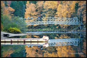 IMG_1495-Parc-national-de-la-Jacques-Cartier-Web (1)               