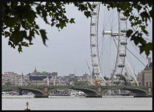 IMG_4794-London-Eye-2015-web      