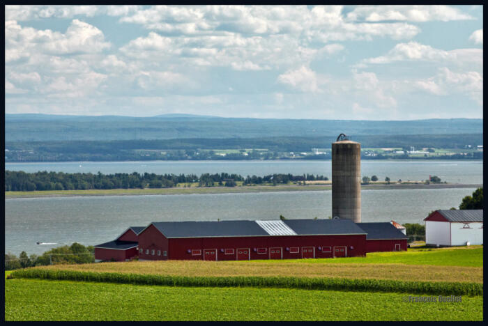 IMG_6621-Ferme-de-lÎle-dOrléans-watermark-e1409594487590 (1)      