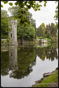 IMG_7326-Wexford-Johnstown-Castle-Ireland-2015-web  