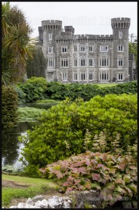 IMG_7363-Johnstown-Castle-Wexford-Ireland-2015-web (1)  