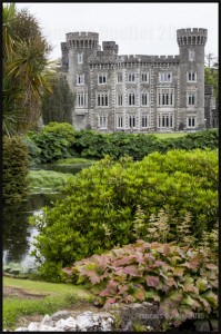IMG_7363-Johnstown-Castle-Wexford-Ireland-2015-web  