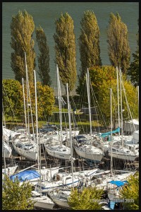 IMG_8475-Marina-de-Sillery-Québec-2015-web (1)        