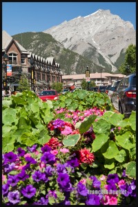 IMG_9162-Banff-2014-web (1) 