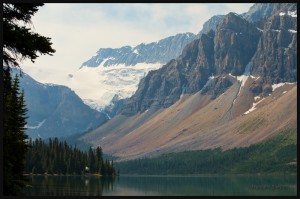 IMG_9310-Jasper-National-Park-2014-web (1) 