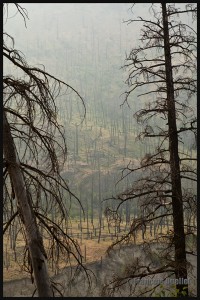 IMG_9694-Kamloops-and-the-forest-fires-2014-web (1)  