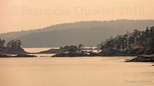 Islands-between-Vancouver-and-Victoria-web (1)      