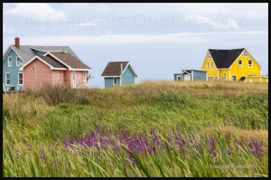 Maisons-de-Havre-Aubert-2017-web (1)       