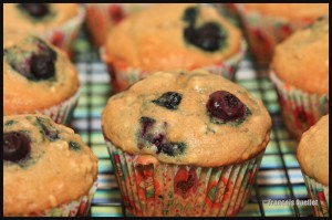 Muffins-blueberries-web (1)