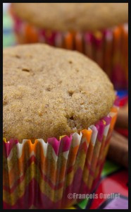 Muffins-pumpkin-and-cinnamon-web