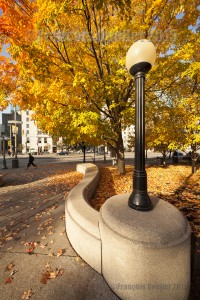 Ottawa-Park-in-Autumn-2015-web (1)            