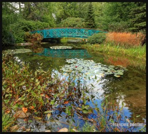 Parc-du-Bois-de-Coulonge-02-web         