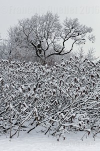 Parc-du-Cap-au-Diable-Ville-de-Québec-2016-web (1)            