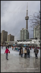 Skating-on-Toronto-harbourfront-winter-2016-web (1)      