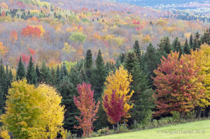 St-Jacques-de-Leeds-en-automne-2019 (1)